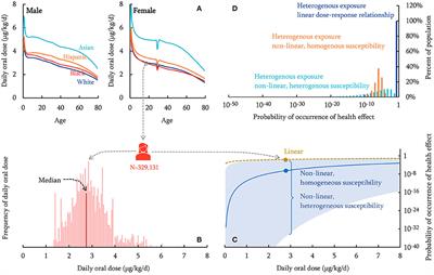 Inter-Individual Variability and Non-linear Dose-Response Relationship in Assessing Human Health Impact From Chemicals in LCA: Addressing Uncertainties in Exposure and Toxicological Susceptibility